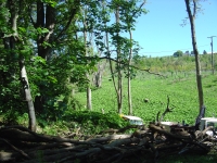 30th May 2009 013